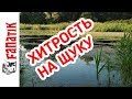 12 грамм
