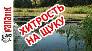 Рыболовные новинки приманки на хищника 2019 года