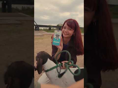 Petmate video thumbnail