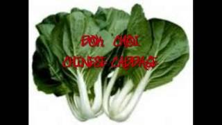 Hydroponic Bok choi -  Kratky Style