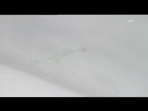 Anette Sagen - 123 m - Oslo 2003