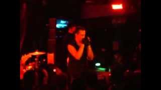 Die Krupps - "Alive" (extract) - Live 2008 | dsoaudio