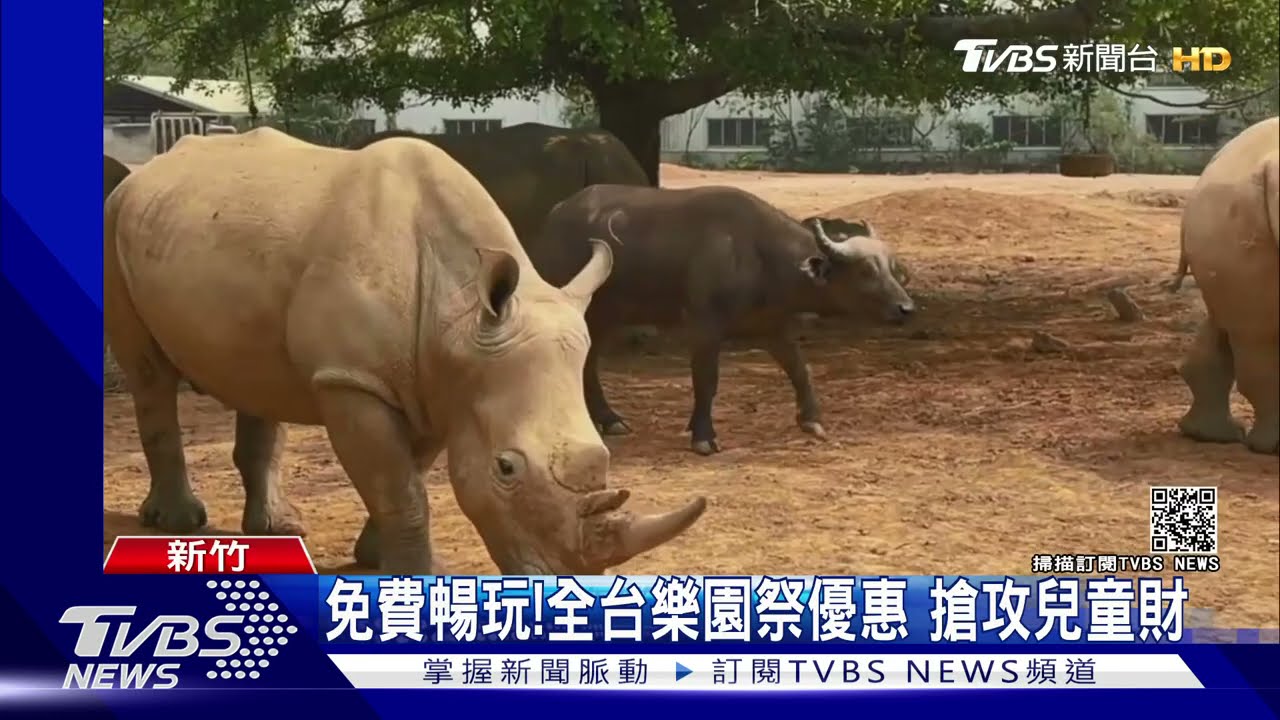 免費暢玩!全台樂園祭優惠 搶攻兒童財