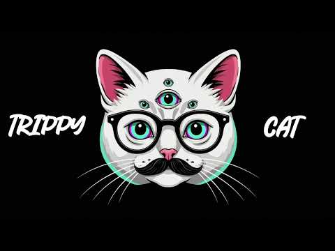 MINIMAL TECHNO PARTY RADIO by TRIPPY CAT MUSIC
