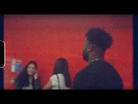 Prince Of Falls - Black Cats