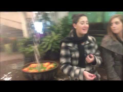 Melhores Momentos de Fevereiro