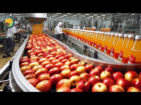 How Apple Juice Is Made in Factory – Modern Fruit Juice Production Technology