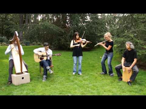 Irish Traditional Music ! WANT TO DANCE ? Celtic Ireland with Violin !