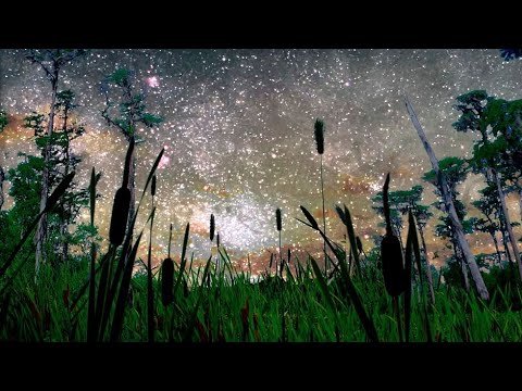 Der Stoff, aus dem der Kosmos ist (Folge 3/4) - Universum oder Multiversum | ARTE Doku