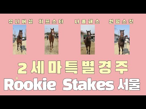 8/17-강태성-일요-8경주--2세마 특별경주(Rookie Stakes@서울 출전마 분석)