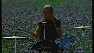 The Blue Yodle -Purple Day