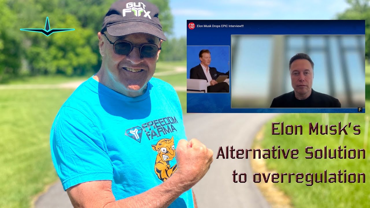 Elon Musk's alternatine solution to overregulation