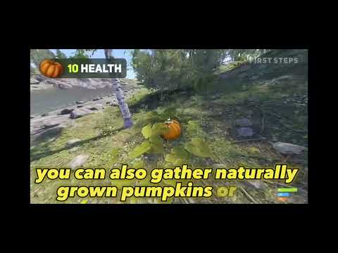 Rust Beginner’s Guide - How To Get Started 2023