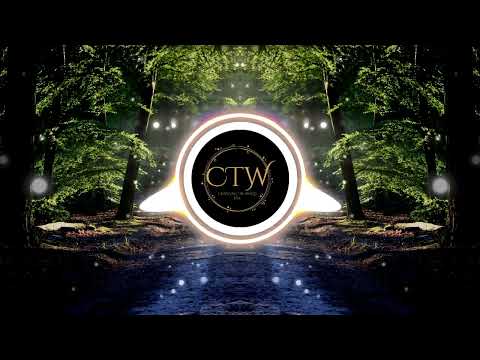 Armanii ft D'Yani - Special