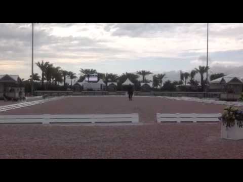 CDI Young rider Team test