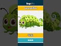 caterpillar - 毛虫 video thumbnail