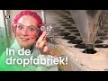 Hoe wordt drop gemaakt? | Het Klokhuis
