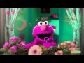 Sesame Street Sunny Days Season 46 Opening Low Hue And Tone