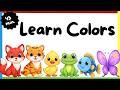 Learn Colors For Kids Preschool Colors Compilation