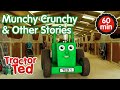 Munchy Crunchy & Other Tractor Ted Stories 🚜 | Tractor Ted Compilation | Tractor Ted Official