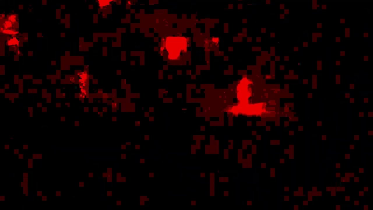 Flickering Lights | Short Film