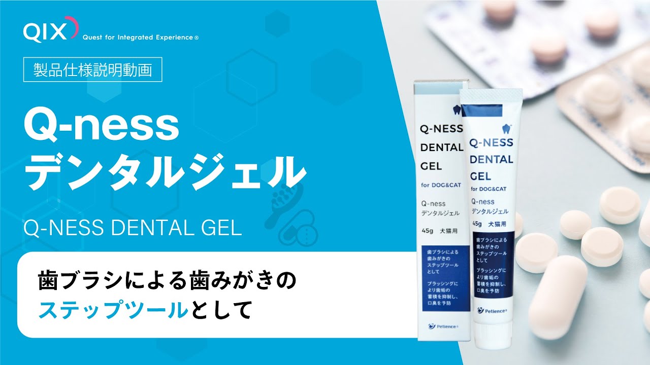 Q-ness デンタルジェル|株式会社QIX Q-ness デンタルジェル|株式会社QIX