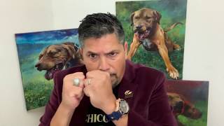 American Pit Bull Terrier - Breeders or  No Breeders ??? That is the question!!