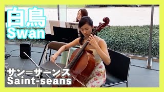 Download lagu サン＝サーンス:白鳥(チェロ・ピアノ)／Saint-seans:Swan(Cello・Piano)朝♪クラ～Asa－Kura～ mp3