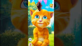 Talking Ginger Funny Videos 🤣🤣 | talking tom | talking ginger |
