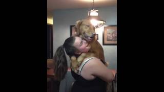 Dog likes to be held like a baby