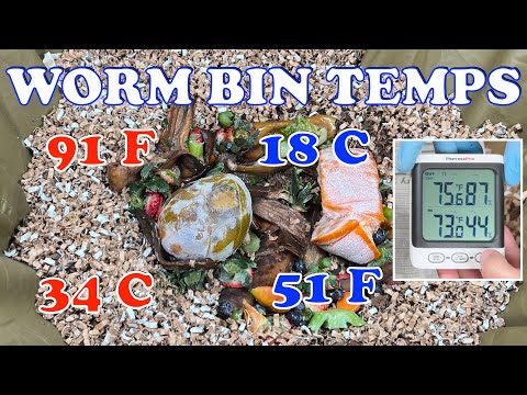 Min & Max Worm Bin Temperatures Over 7 Days In My New Urban Worm Bag |  Vermicompost Worm Farm