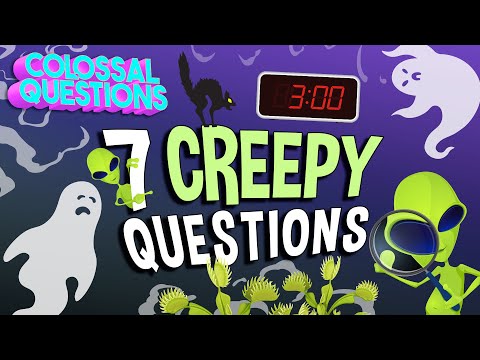 Questions That Keep You Up at Night | COLOSSAL QUESTIONS