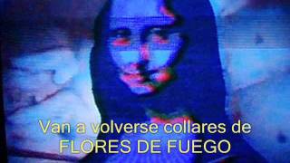 Flores de fuego Lyrics English Translation