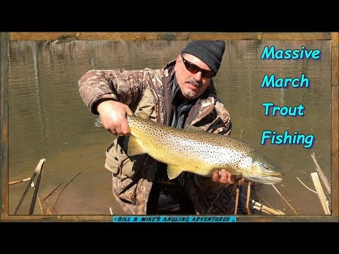 Massive March Trout Fishing