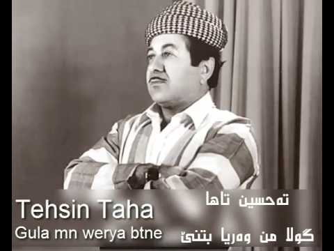 tehsin taha gula mn werya btne :::: تەحسین تاها _ گولا من وەریا بتنێ