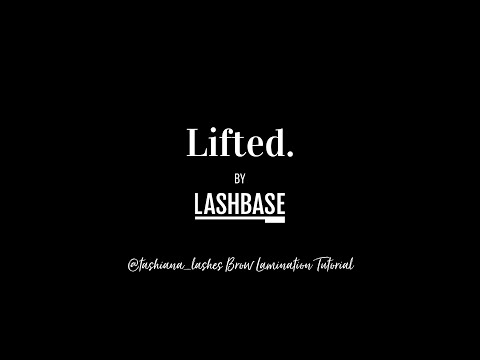 Lifted. By LashBase - Brow Lamination Tutorial