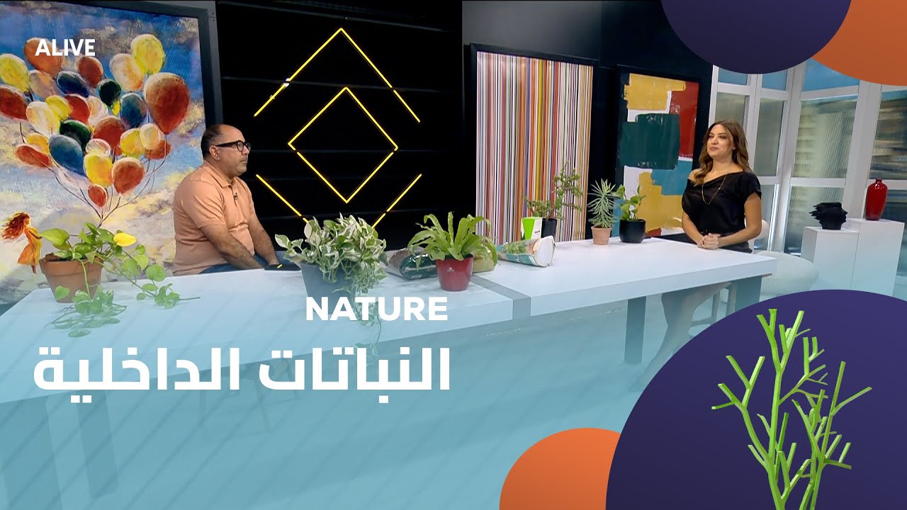 Nature - 01/11/2025 - النباتات الداخلية