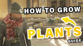 How to Grow all the Plants you Need | Complete Guide ► Hogwarts Legacy