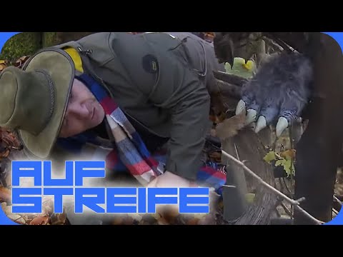 Gruseliger Angriff! Treibt wirklich ein Werwolf im Wald sein Unwesen? | Auf Streife | SAT.1