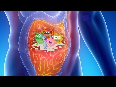 Small Intestinal Bacterial Overgrowth: Updates and Clinical Implications