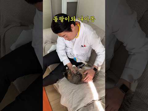 불치병에 걸린 고양이