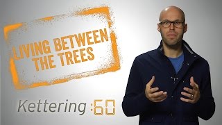 preview picture of video 'Living Between the Trees - Kettering:60'