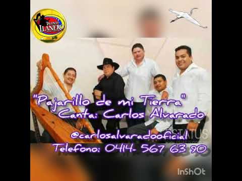 Pajarillo de mi tierra. Carlos Alvarado