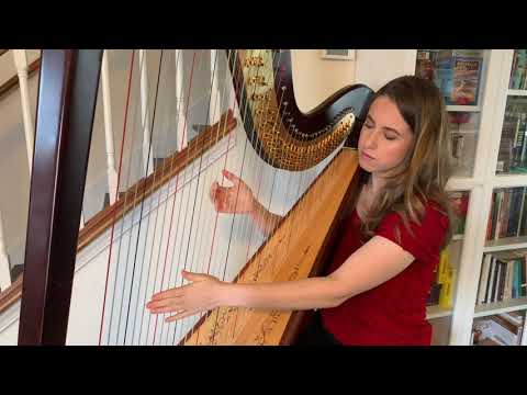 Silent Night | arranged for harp by Rhett Barnwell | played by Abigail Brower