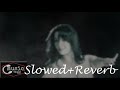Meri Awaargi Himesh SLOWED REVERB