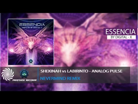 Shekinah vs Labirinto - Analog Pulse (Nevermind Remix)