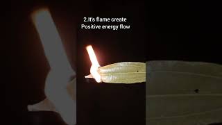 Burn a bay leaf and watch what happen/#shorts