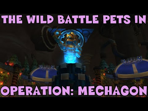 WoW BfA - 8.2 Where to find the Wild Battle Pets in Operation Mechagon Dungeon