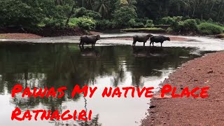 preview picture of video 'Ratnagiri Vlog #7 Pawas My Native Place'