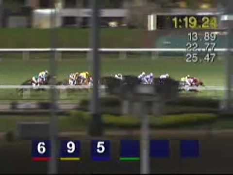 [HKIR 2008] CATHAY PACIFIC INTERNATIONAL JOCKEYS' CHAMPIONSHIP - 2nd Leg